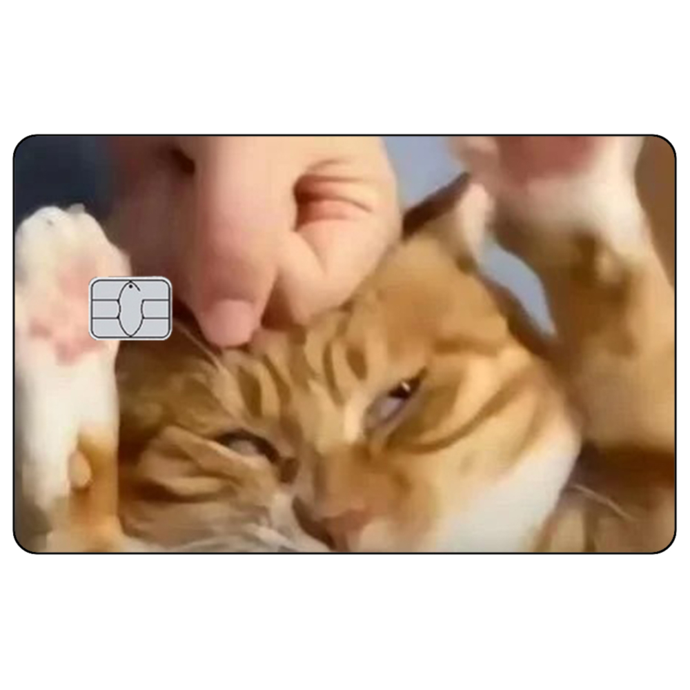 Cute Cat Meme Credit Card Skin - Badminton Meme review and price
